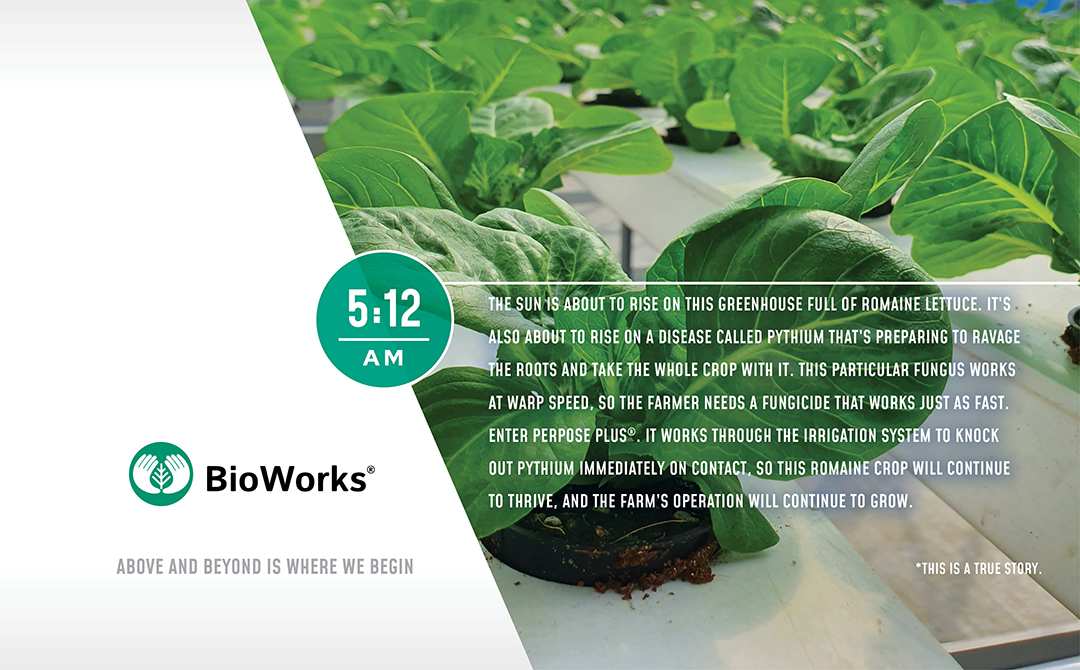 SiteWork_BioWorks_2