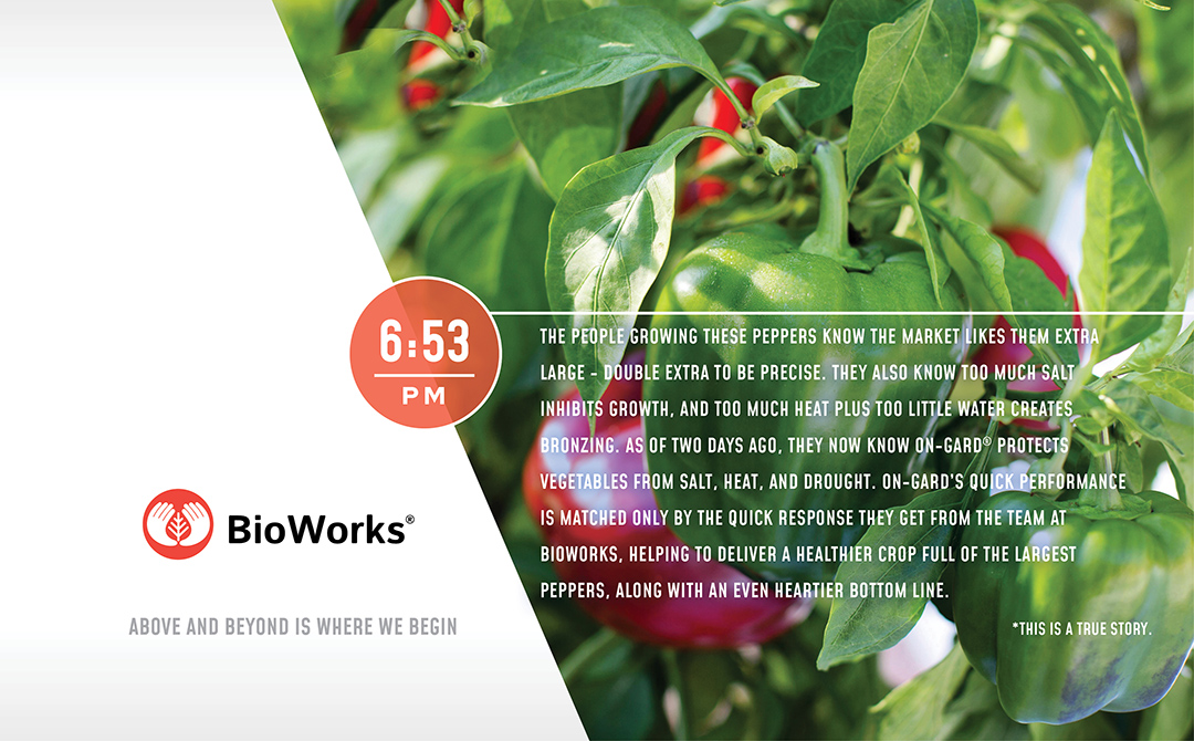 SiteWork_BioWorks_3