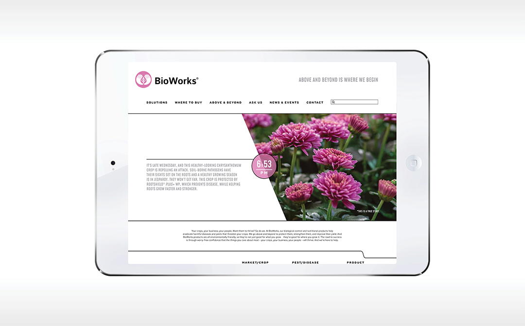 SiteWork_BioWorks_7